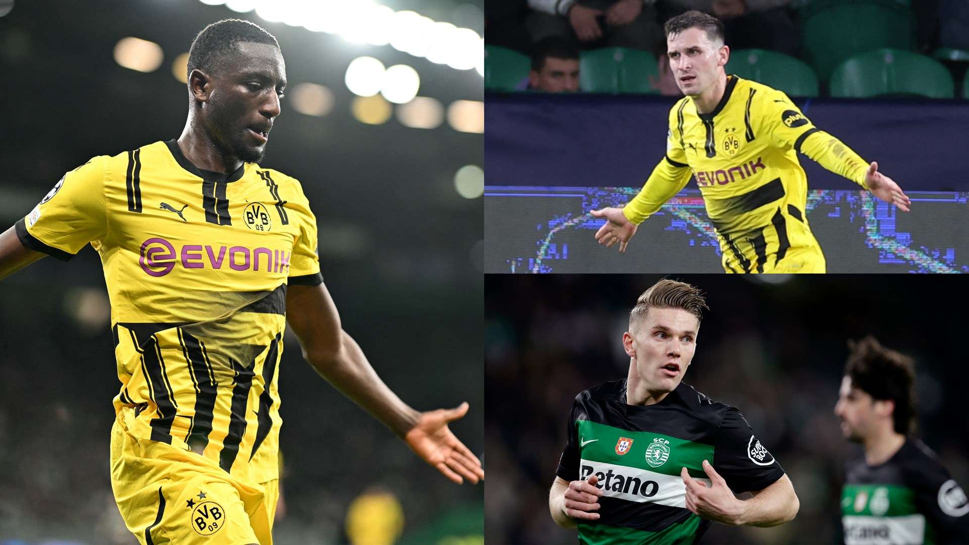 刘洋的成功 刘洋的成功