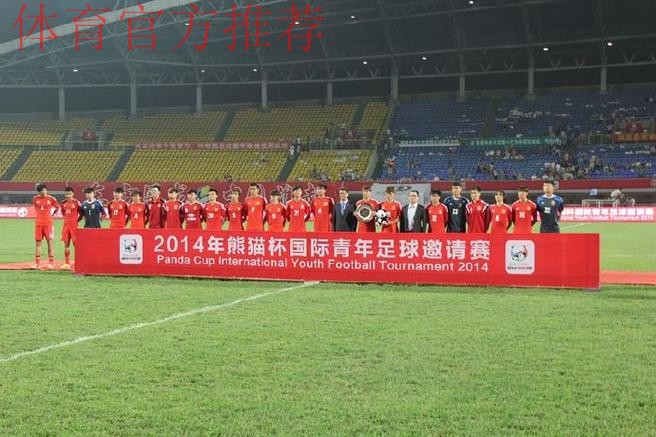 2014“熊猫杯”国际青少年足球发展研讨会举办